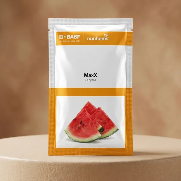 MaxX_BT_Series_Red_Watermelon_Hybrid_Vegetable_Seeds
