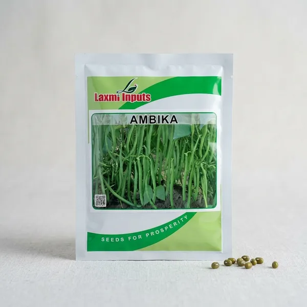 Ambika_Cluster_Bean_Seeds_(Guar)_-_Laxmi_Inputs