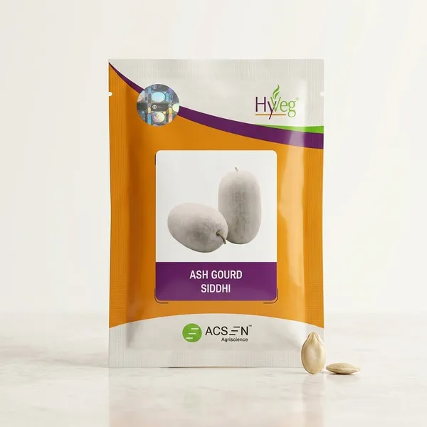 HVeg_Ash_Gourd_Siddhi_Seeds_-_Hybrid_Vegetable_Seeds_by_ACSEN_Agriscience