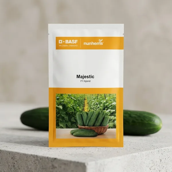 Majestic_F1_Hybrid_Cucumber_Seeds_by_BASF_Nunhems