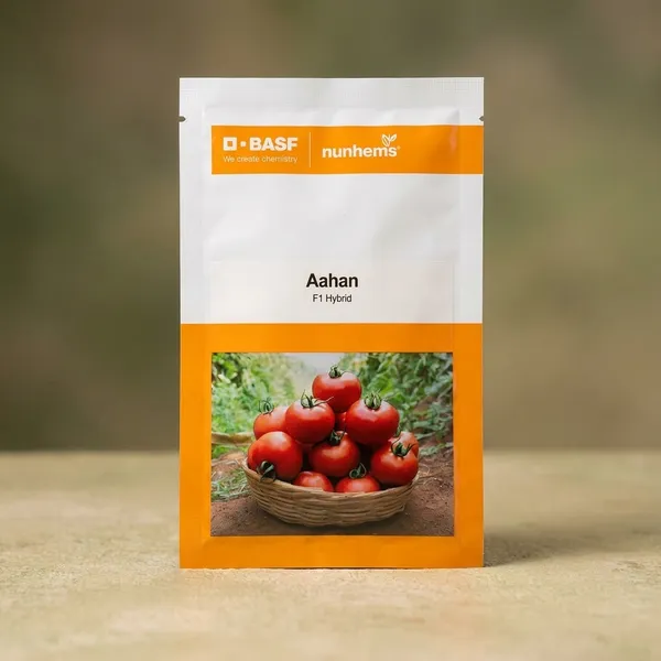BASF_Nunhems_Aahan_F1_Hybrid_Tomato_Seeds