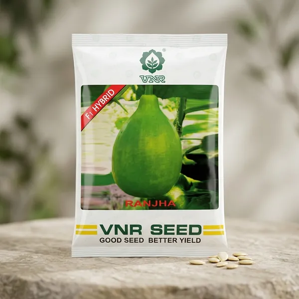 VNR_Ranjha_F1_Hybrid_Bottle_Gourd_Seeds_-_Premium_Quality_for_Better_Yield