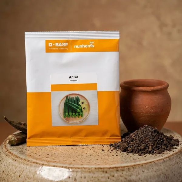 Anika_F1_Hybrid_Seeds_by_BASF_Nunhems