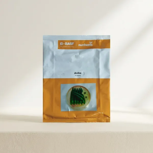 Anika_F1_Hybrid_Seeds_by_BASF_Nunhems