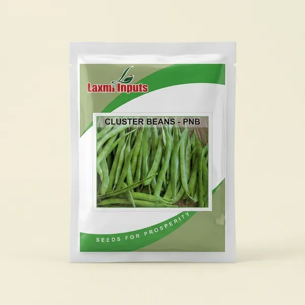 Laxmi_Inputs_Cluster_Beans_(PNB)_Seeds_-_Vegetable_Seeds_for_Home_Gardening