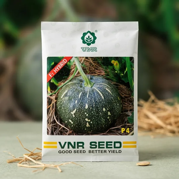 VNR_P4_F1_Hybrid_Round_Pumpkin_Seeds