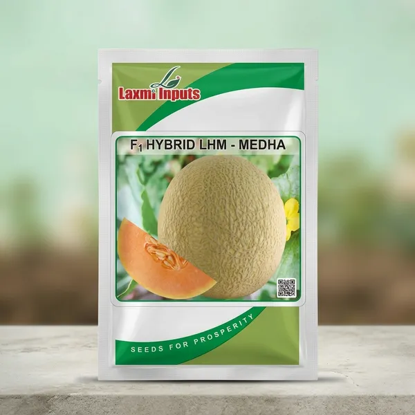 F1_Hybrid_LHM_Medha_Muskmelon_Seeds_-_Premium_Quality_Seeds_for_Home_Gardening