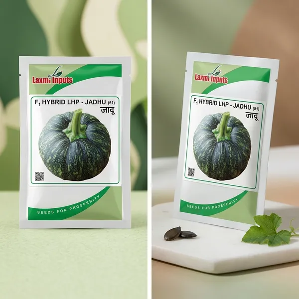 F1_Hybrid_LHP_-_Jadhu_pumkin_Seeds_(50g)