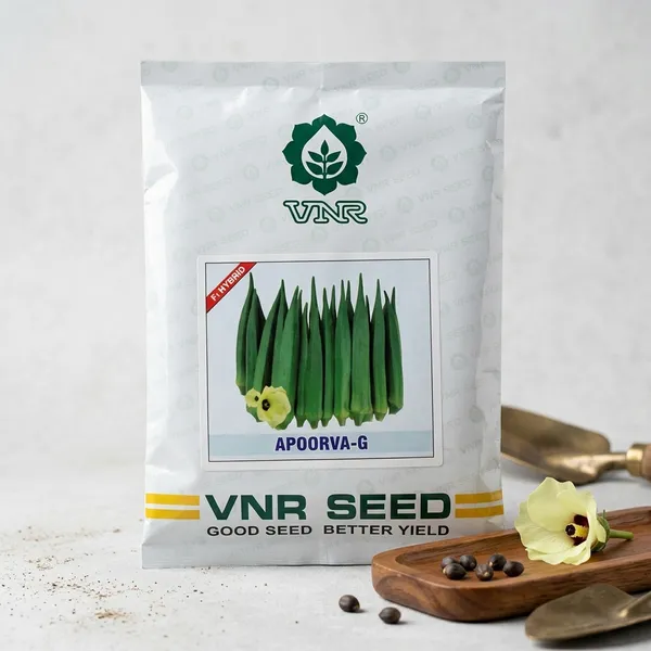 VNR_Apoorva-G_Hybrid_Okra/Bhindi_Seeds