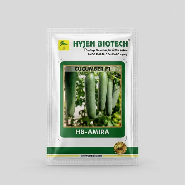 Hyjen_Biotech_HB-AMIRA_Cucumber_F1_Hybrid_Seeds_-_Premium_Quality_Vegetable_Seeds