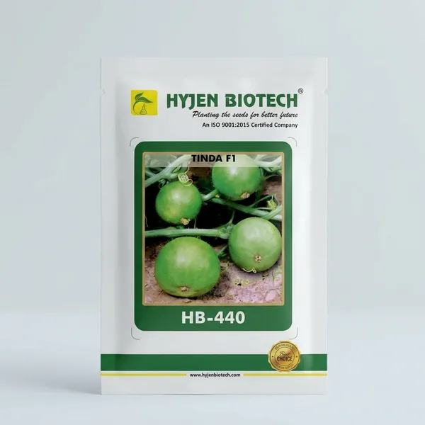 Hyjen_Biotech_Tinda_F1_(HB-440)_Vegetable_Seeds_-_Round_Gourd_Seeds_for_Home_Gardening