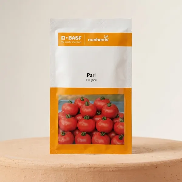 Pari_F1_Hybrid_Tomato_Seeds_by_BASF_Nunhems
