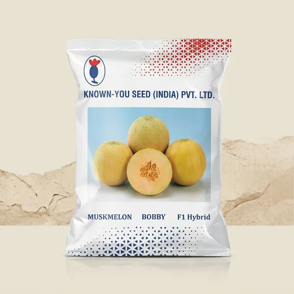 KNOWN-YOU_SEED_Bobby_F1_Hybrid_Muskmelon_Seeds