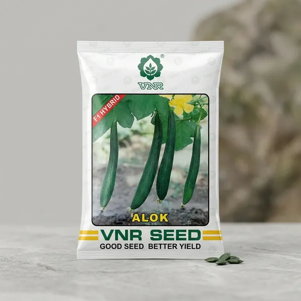 VNR_Alok_F1_Hybrid_Vegetable_Seeds