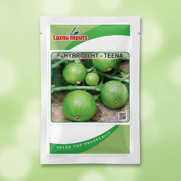 F1_Hybrid_LHT_-_Teena_Round_melon_Seeds_by_Laxmi_Inputs
