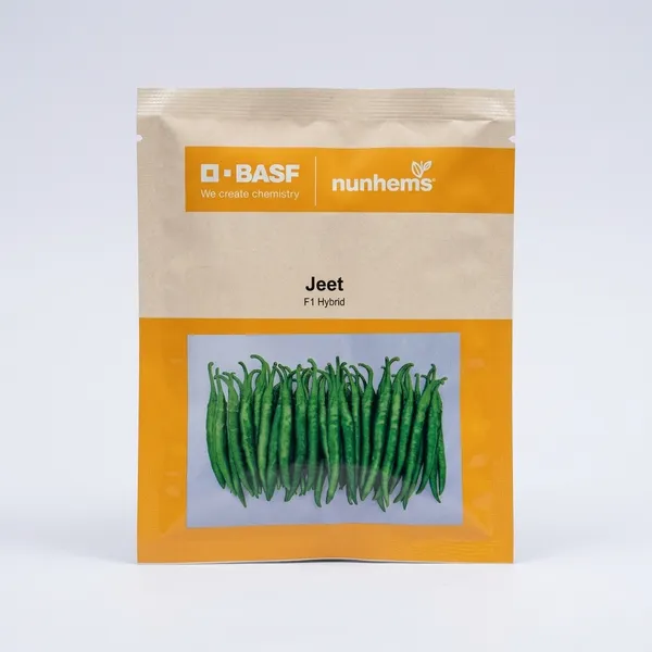 Jeet_F1_Hybrid_French_Bean_Seeds_by_BASF_Nunhems