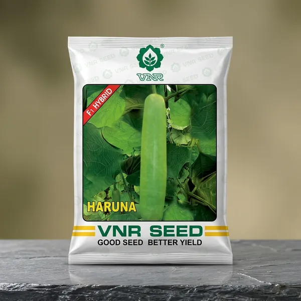 VNR_Haruna_F1_Hybrid_Bottle_Gourd_Seeds_(Lauki/Ghiya_Seeds)