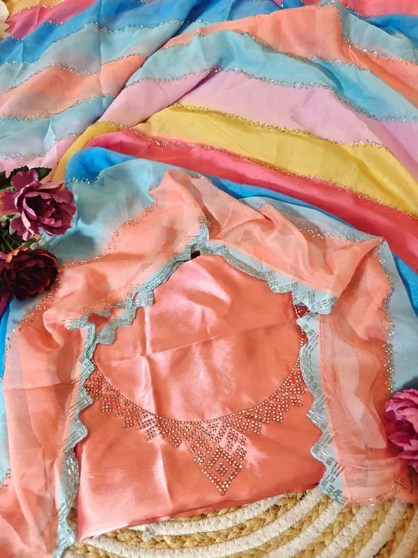 Multicolor_Light_Rainbow_Tabby_Silk_Saree_With_Zarkhan_Work