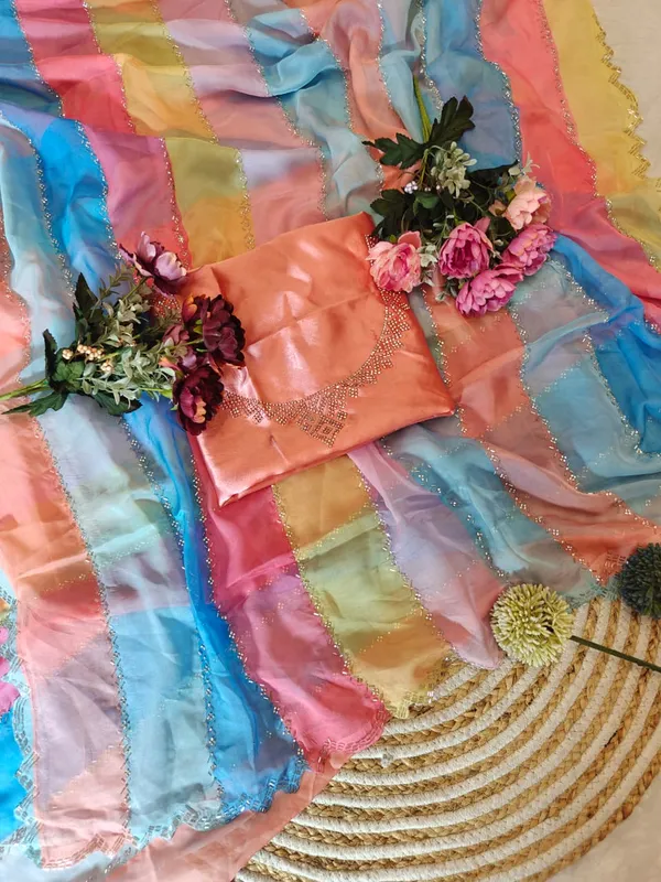 Multicolor_Light_Rainbow_Tabby_Silk_Saree_With_Zarkhan_Work