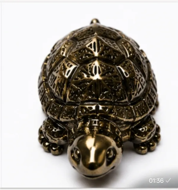 PYRITE_DHANYOG_KACCHUA_(TOURTILE)