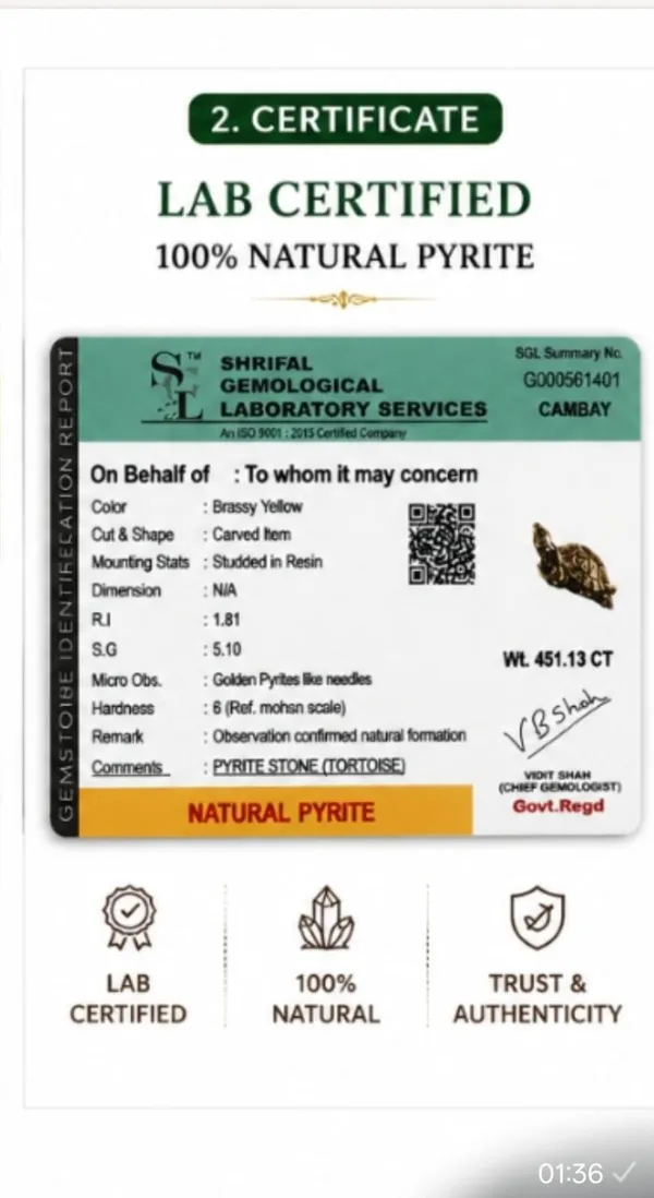 PYRITE_DHANYOG_KACCHUA_(TOURTILE)