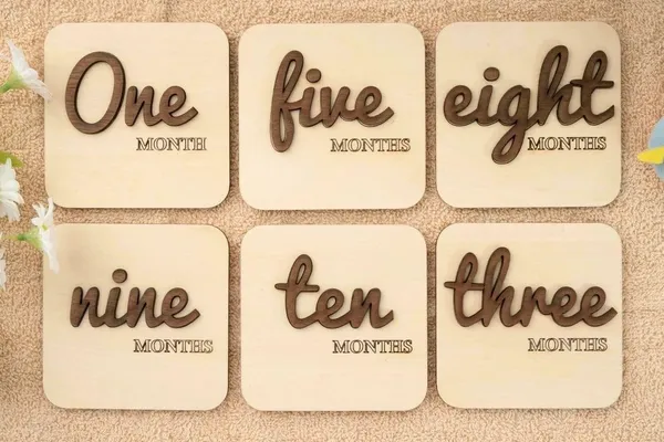 Beige_Construction_Crane_Baby_Milestone_Sign_Baby