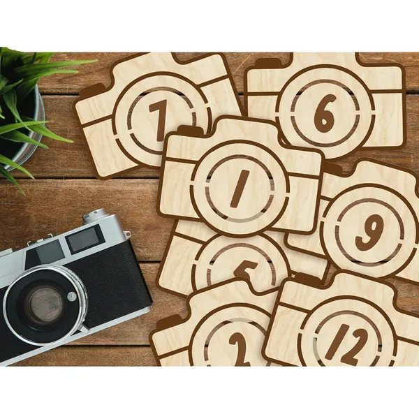 Beige_Camera_Themed_Wooden_Baby_Milestone_Discs_Monthly_Photo_Props_Baby