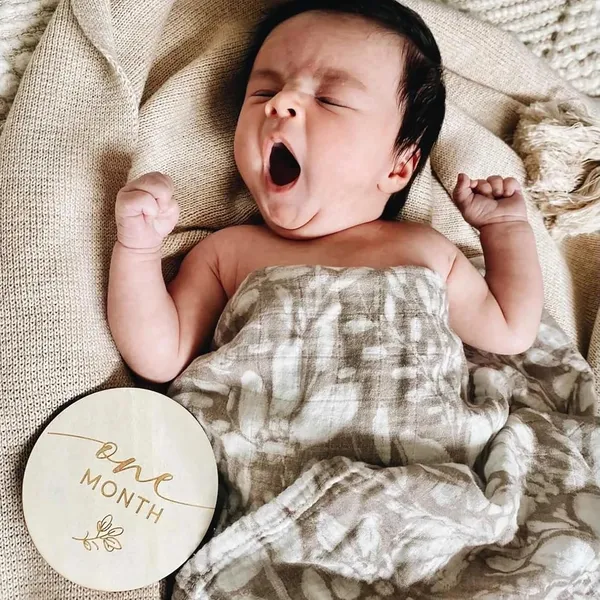 Beige_Baby_Milestone_Cards_Wooden_Discs_Baby