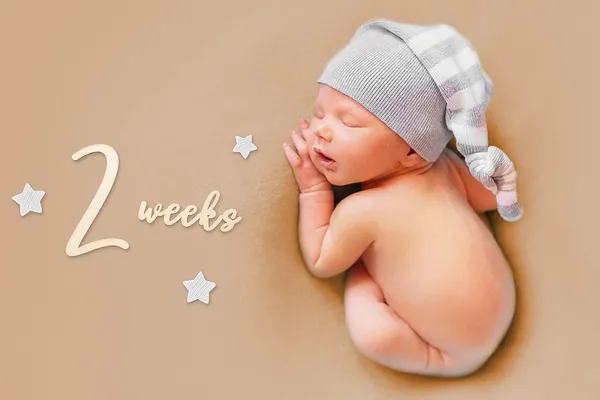 Beige_Wooden_Baby_Milestone_Props_Baby