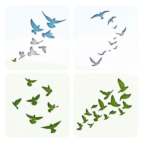 White_Sky_Birds_Painting_Template_Group_Birds_Spray_Graffiti_Hollow_Painting_Illustration_Stencil_Diy_And_Craft