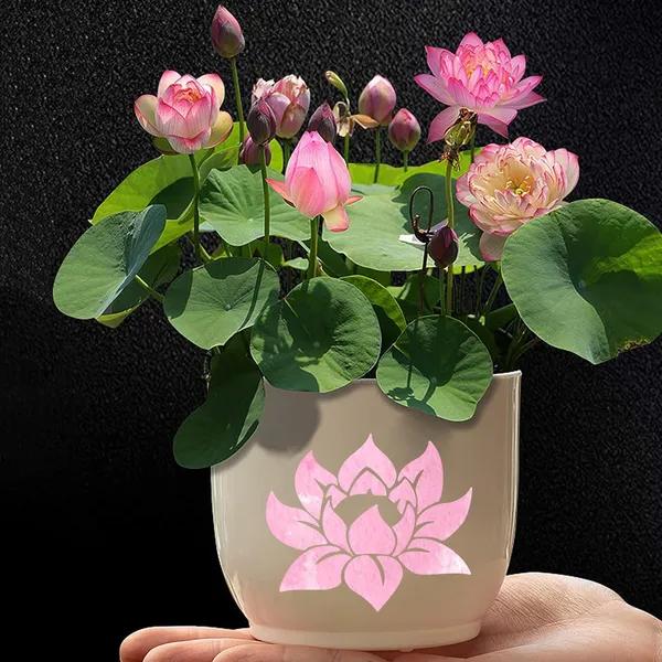 White_Lotus_Flower_Stencil_Diy_Painting_Diy_And_Craft