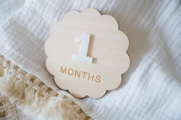 Beige_Wooden_Monthly_Baby_Milestone_Discs_Baby