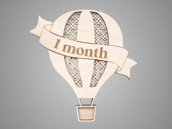 Beige_Wooden_D_Hot_Air_Balloon_Monthly_Milestone_Sign_Baby
