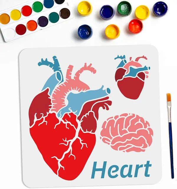 White_Halloween_Heart_Brain_Stencil_Reusable_Anatomical_Painting_Template_Home_Decor