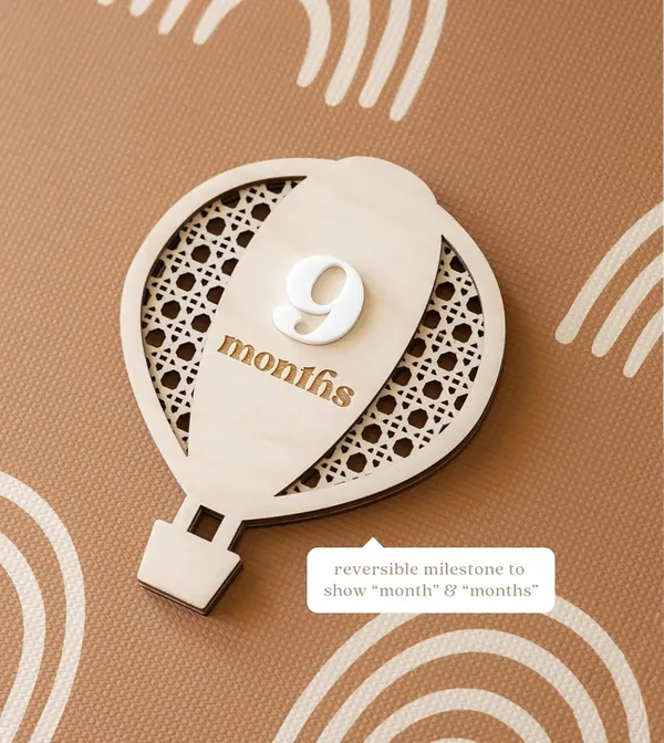 Beige_Wooden_Monthly_Milestone_Cards_Hot_Air_Balloon_Design_Interchangeable_Newborn_Photography_Props_Baby_Shower_Gift_Baby