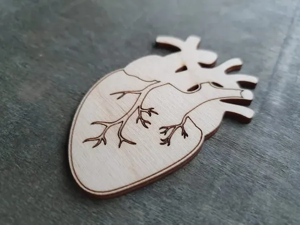 Beige_Wooden_Anatomical_Heart_Cut_Out