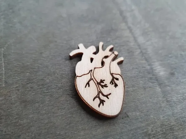 Beige_Wooden_Anatomical_Heart_Cut_Out