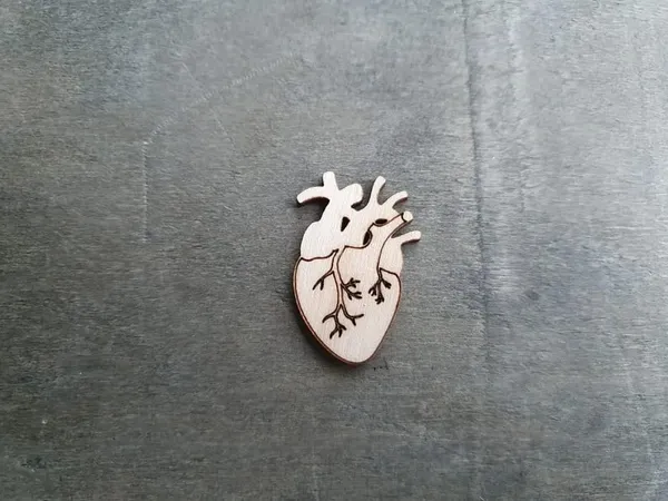 Beige_Wooden_Anatomical_Heart_Cut_Out