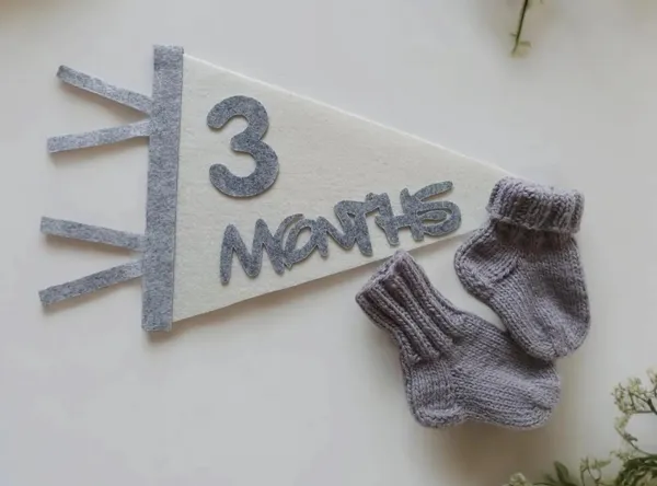 Grey_Newborn_Photo_Prop_First_Year_Felt_Monthly_Milestone_Pennant_Baby_Photoshoot_Props_Baby_Shower_Gift_Baby_Monthly_Milestone_Flag_Banner_Baby