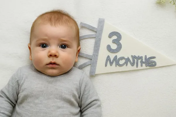 Grey_Newborn_Photo_Prop_First_Year_Felt_Monthly_Milestone_Pennant_Baby_Photoshoot_Props_Baby_Shower_Gift_Baby_Monthly_Milestone_Flag_Banner_Baby