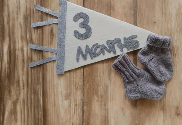 Grey_Newborn_Photo_Prop_First_Year_Felt_Monthly_Milestone_Pennant_Baby_Photoshoot_Props_Baby_Shower_Gift_Baby_Monthly_Milestone_Flag_Banner_Baby