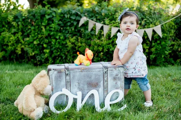 White_Birch_Wood_One_Sign_First_Birthday_Photo_Prop_Baby