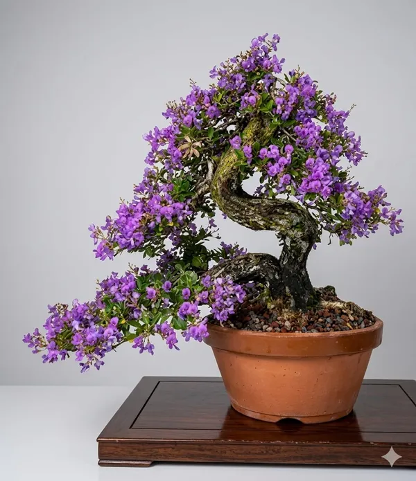 Bonsai_Blue_Bell_Plant_In_Pot_Indoor_Bonsai_For_Home_Or_Office_Decor