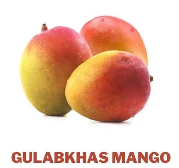 Fresh_Gulab_Khas_Mango_Premium_Quality_Indian_Mangoes