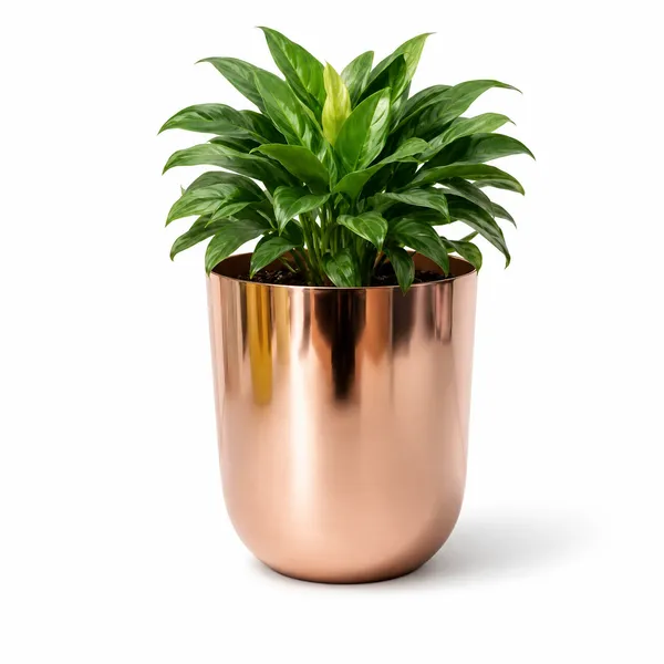 Rose_Gold_Metal_Planter_Pot_|_Modern_Indoor_Plant_Pot_for_Living_Room_&_Office