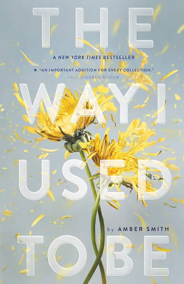 The_Way_I_Used_To_Be_By_Amber_Smith