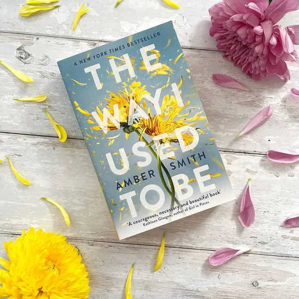 The_Way_I_Used_To_Be_By_Amber_Smith