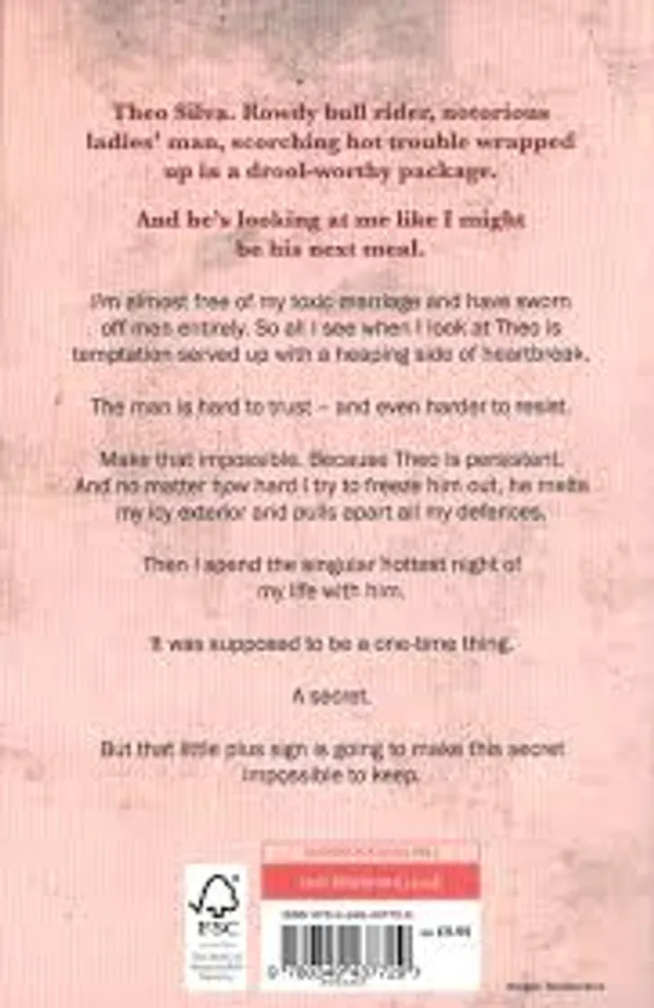 Reckless_By_Elsie_Silver