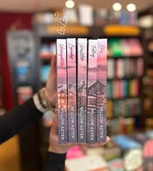 Landmark_Mountain_5_Book_Set_By_Willow_Aster