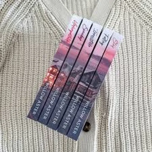 Landmark_Mountain_5_Book_Set_By_Willow_Aster